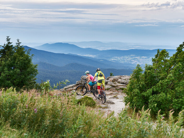 Eine Gruppe von Radfahrern ist auf einer Tour in der Nähe von Neuschönau im Bayerischen Wald unterwegs